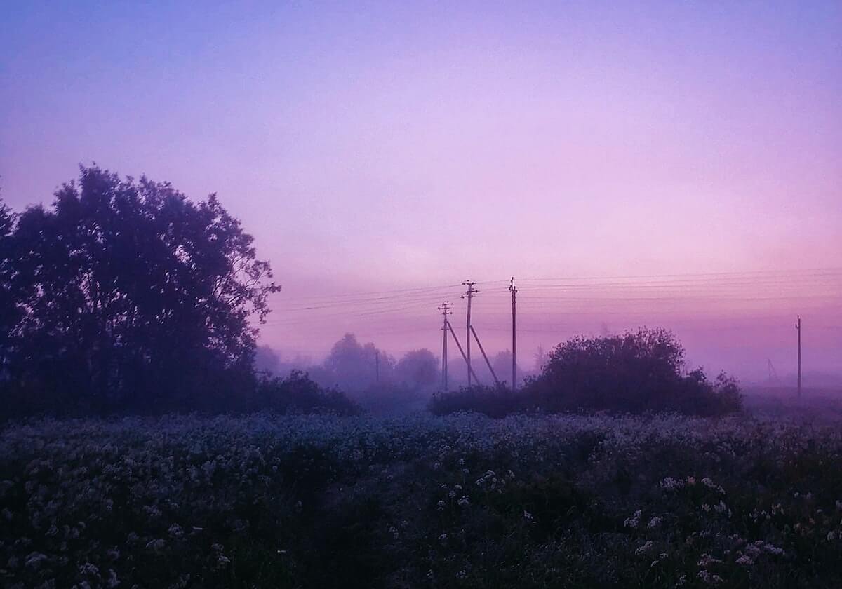 陈雨菲年终首次登顶世界第一 谌龙重回排名前三